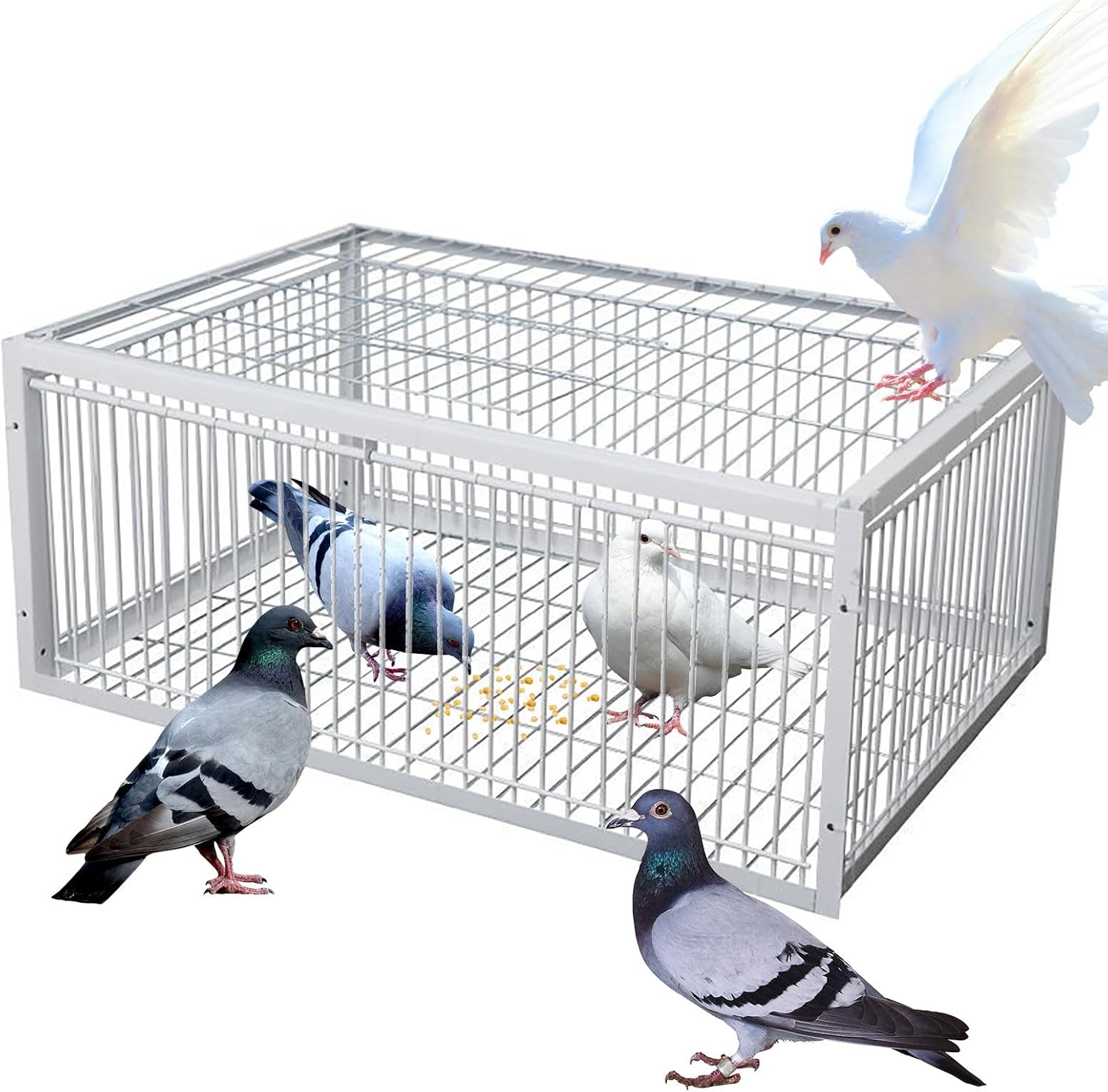 Taubenfallen Tierfalle K fig Mit Einweg-Eingang Einfach Zusammenzubauender Vogelfalle Mit Ausbruchsicherem Design Tragbar 4 Importiert Automatische Taubenk fig60x40x26CM