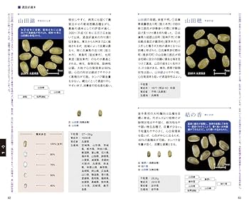 酒米ハンドブック 改訂版 | 副島 顕子 |本 | 通販 | Amazon