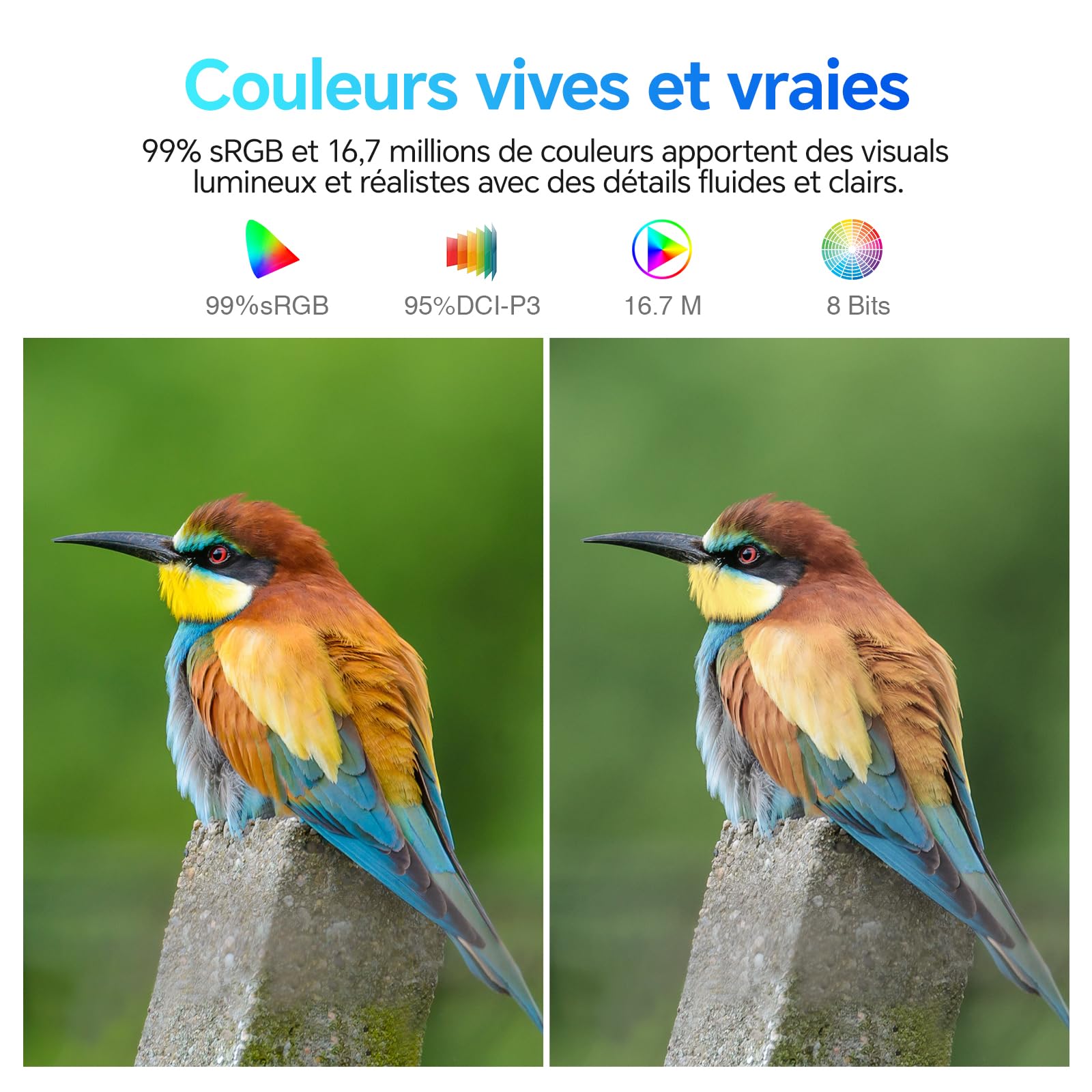 KOORUI E2721H 27 Pouces Ecran QHD 100Hz IPS 1MS AdaptiveSync VESA | 2560 x 1440 HDMI 2.0, DP 1.4, HDR10, 99% sRGB, 95% DCI-P3, design ultra-fin, inclinable -5°~15°, protection oculaire