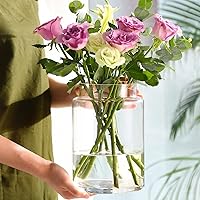 KOIUEYW 9 Inch Clear Glass Vase for Centerpieces - Large Modern Flower Vase Bouquet Holder for Wedding Home Decor Dining Table