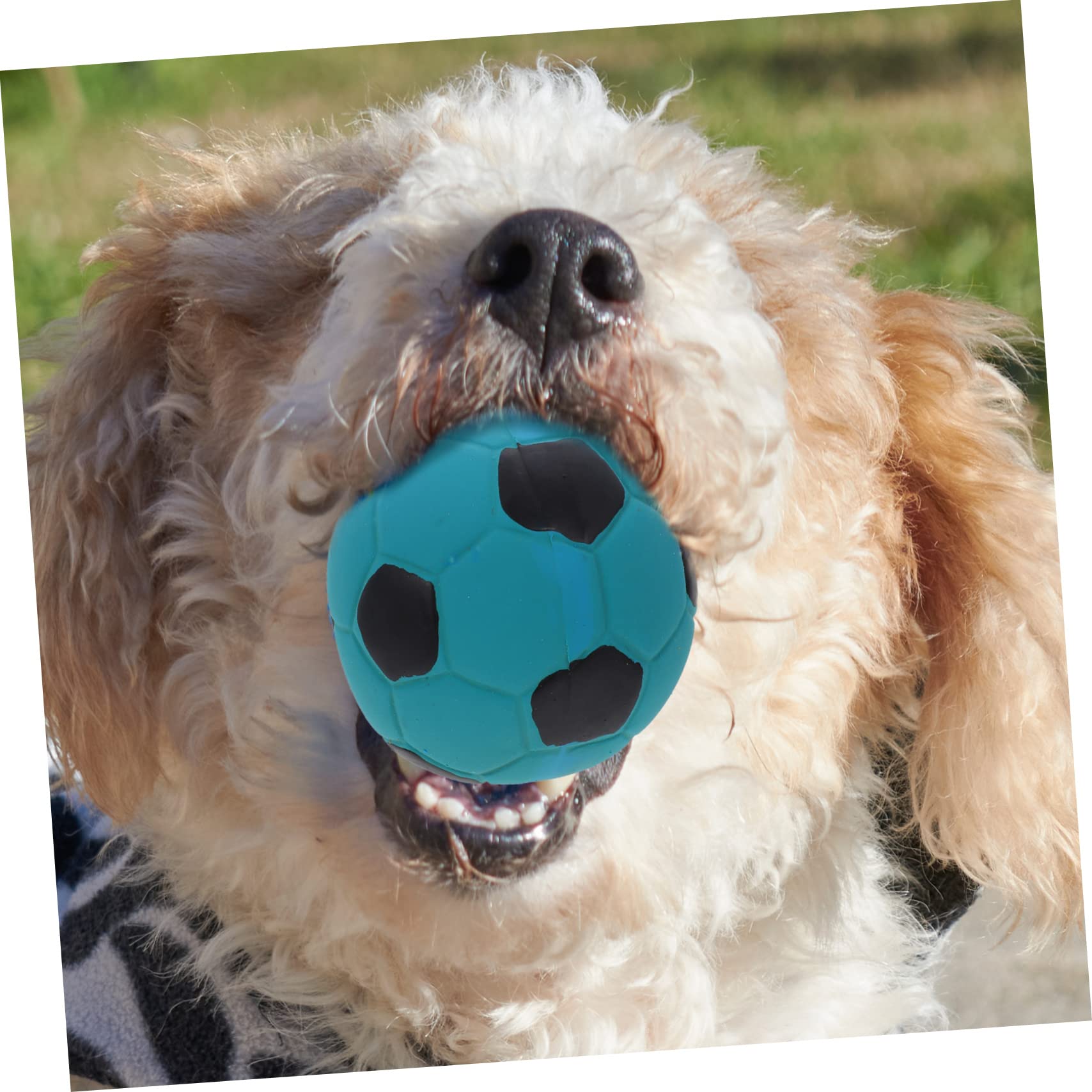 Toddmomy 12piezas Juguetes De Masticar De Caucho para Perros Interactivos y Resistentes De Fútbol para Cachorros Juguetes De Limpieza para Perros Pequeños y Medianos