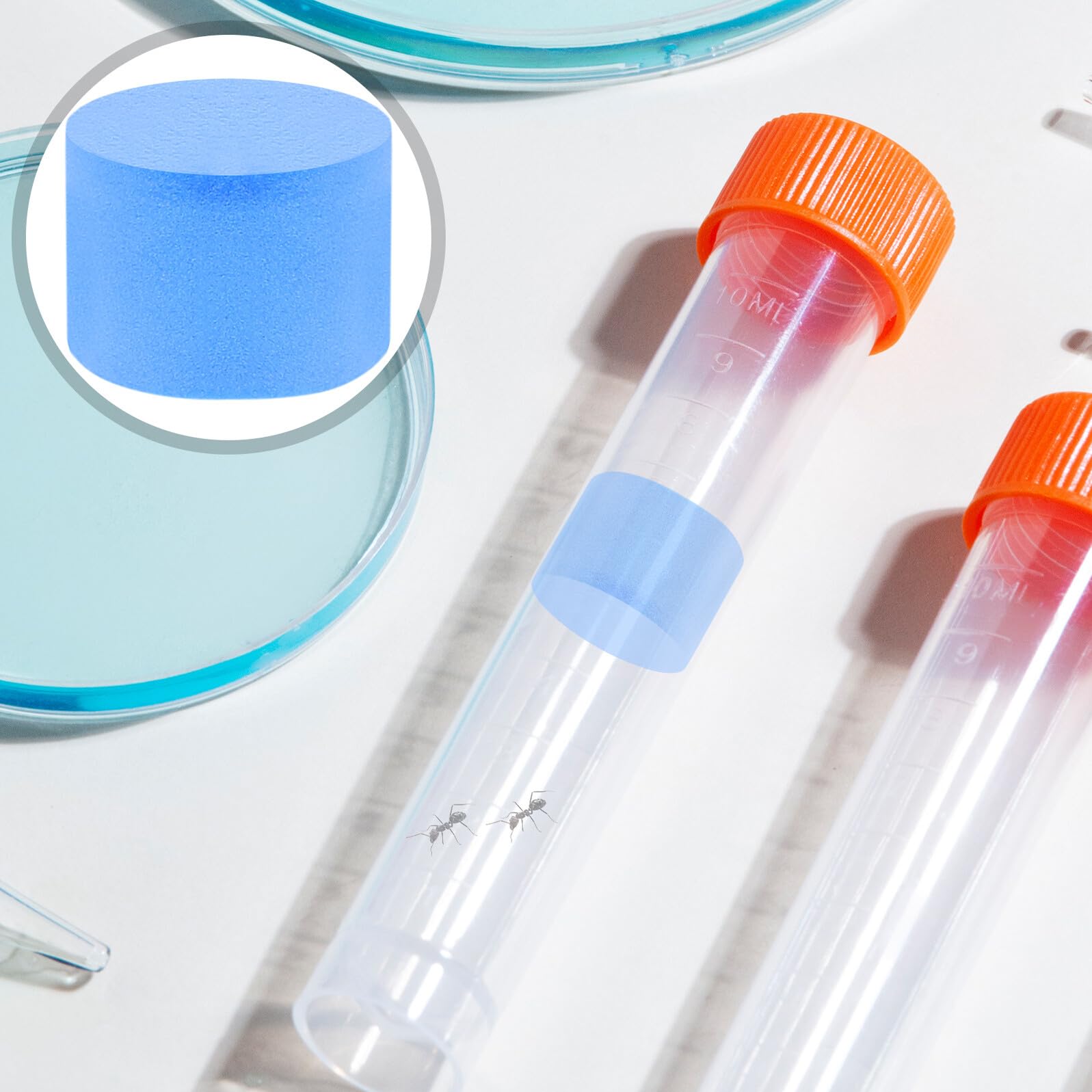 5 Esponjas de Espuma Azules para Tubos de Laboratorio, Suministros para Nidos de Insectos Ambiente Cómodo y Fácil de Usar en Aprendizaje Naturaleza
