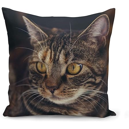 Fabulous Housse De Coussin 40x40 Cm Sublime Chat Tigre Grands Yeux Jaunes Mignon Amazon Fr Cuisine Maison