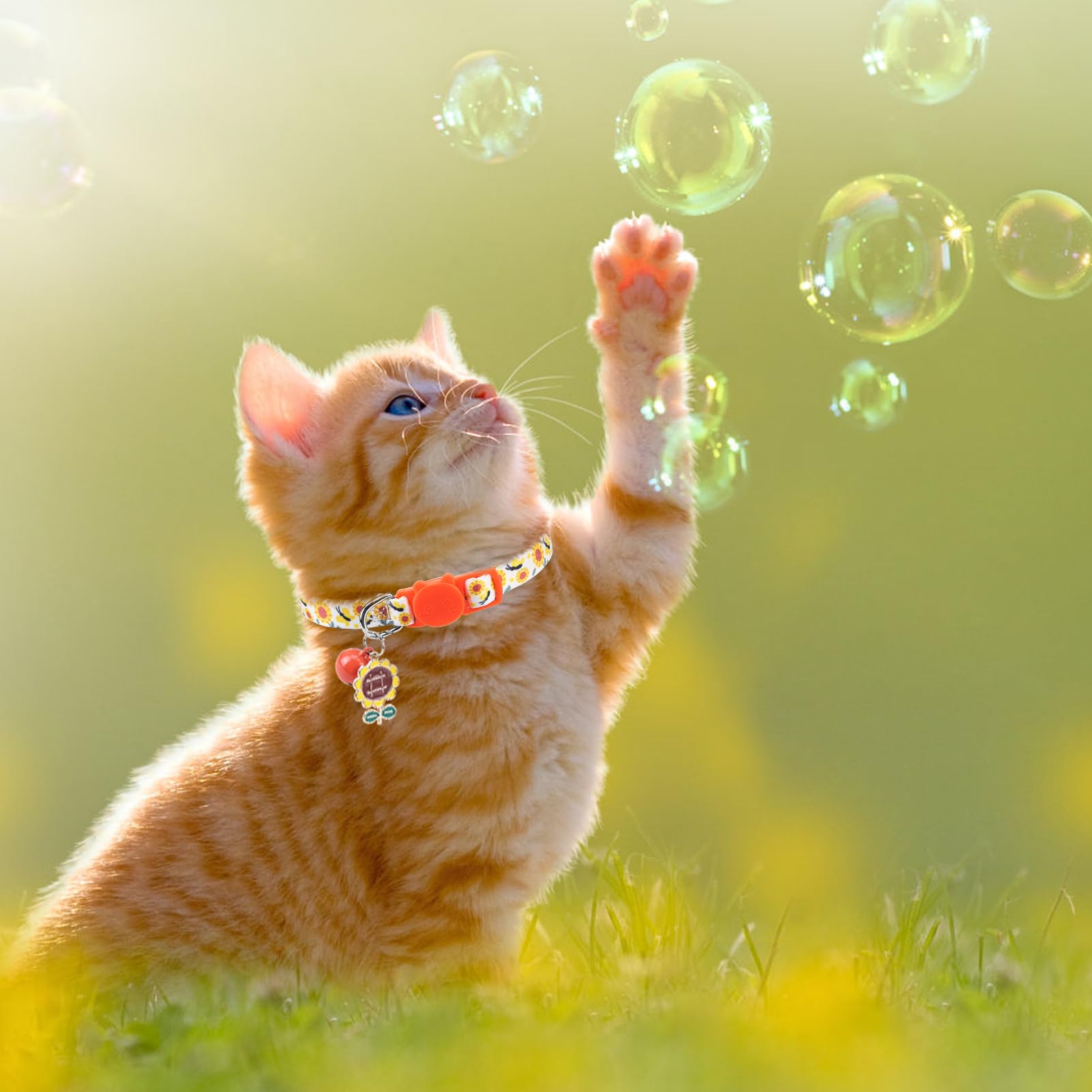SCENEREAL Collier pour chat avec clochettes, boucle de sécurité douce et réglable pour le printemps, l'été, le quotidien, collier personnalisé pour chaton chiot rose