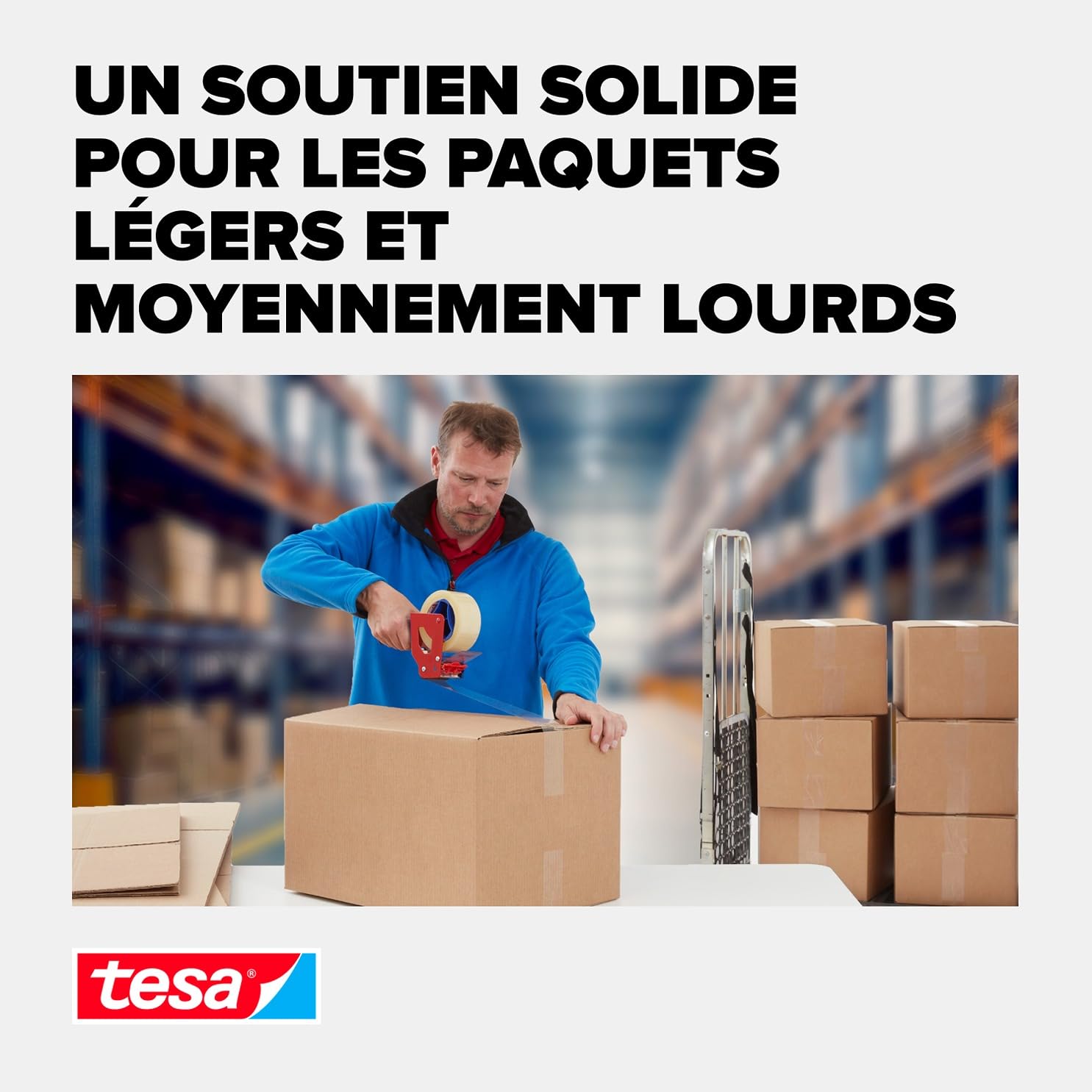 tesapack 4024 Universal PP - 66 m x 50 mm - transparent - 36 rouleaux