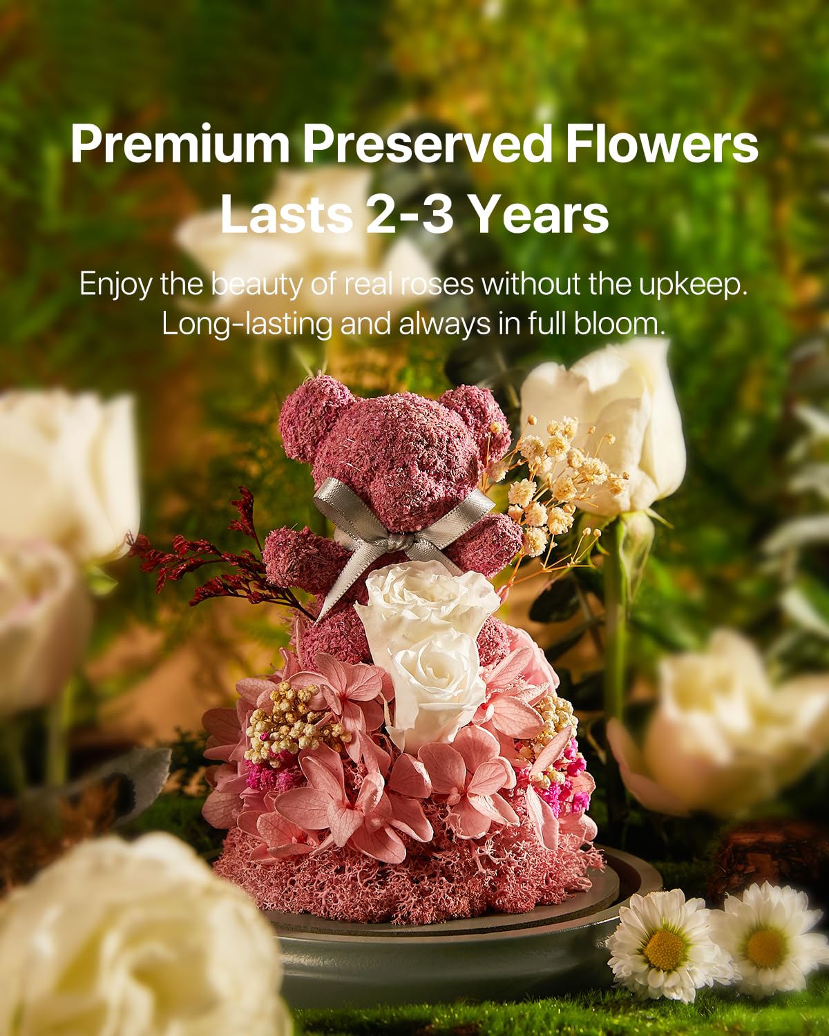 JoyFlower Ewiger Rosenbär – Konservierte Rote Rosen Als Geschenk Für Mutter, Ehefrau, Freundin Zu Weihnachten & Valentinstag