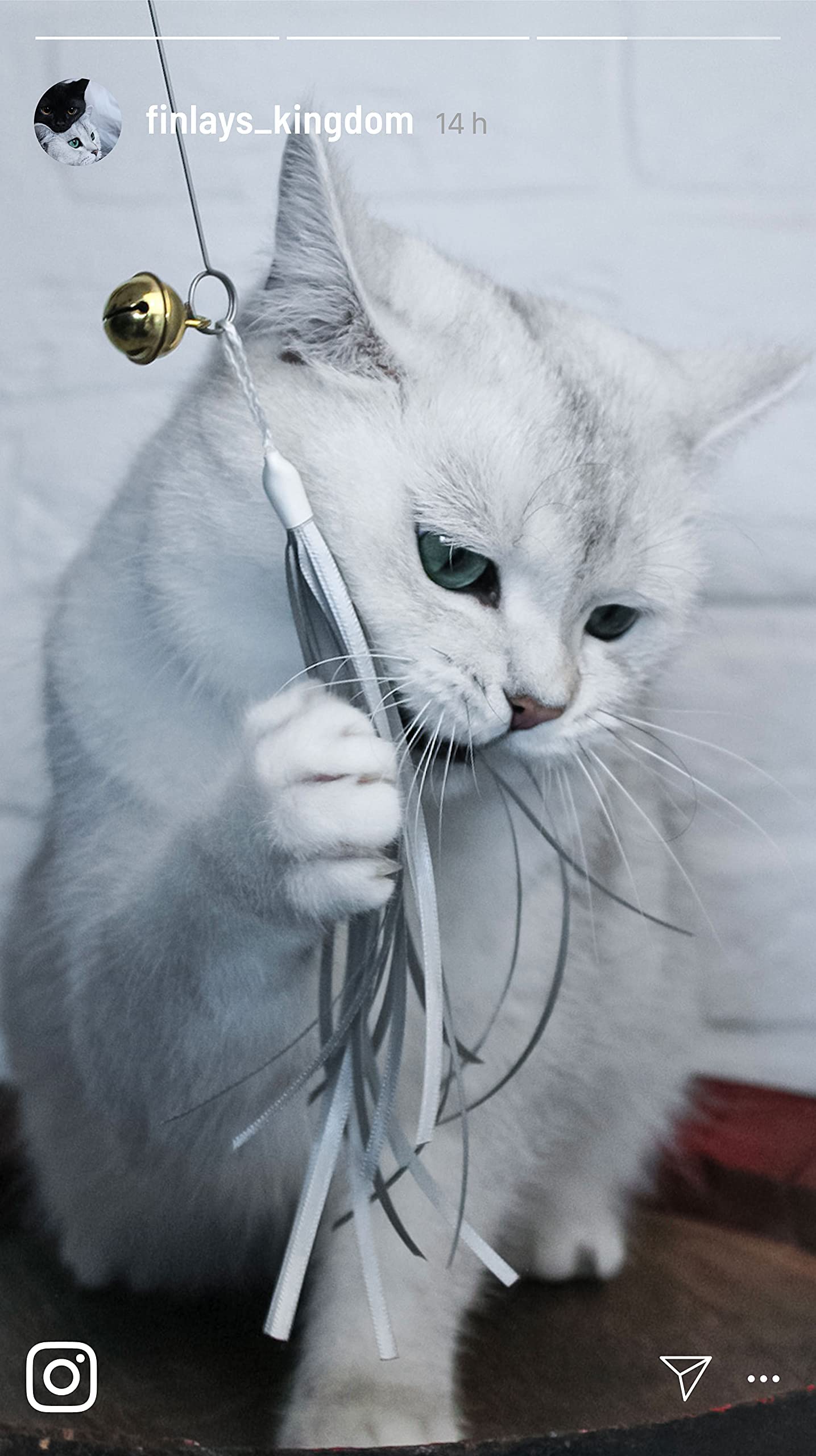 Jouet Chat Avec Plumes - Canne à Pêche Interactive, Lot De 3 - Stimule L’instinct De Chasse, Jeu Durable