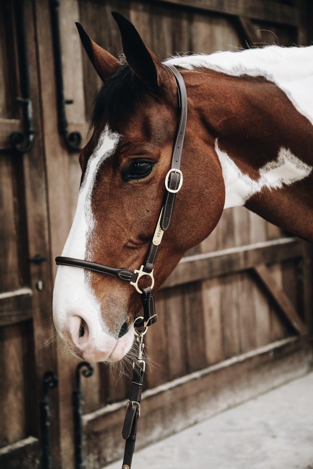 Cabezada de Cuero para Caballos Kentucky