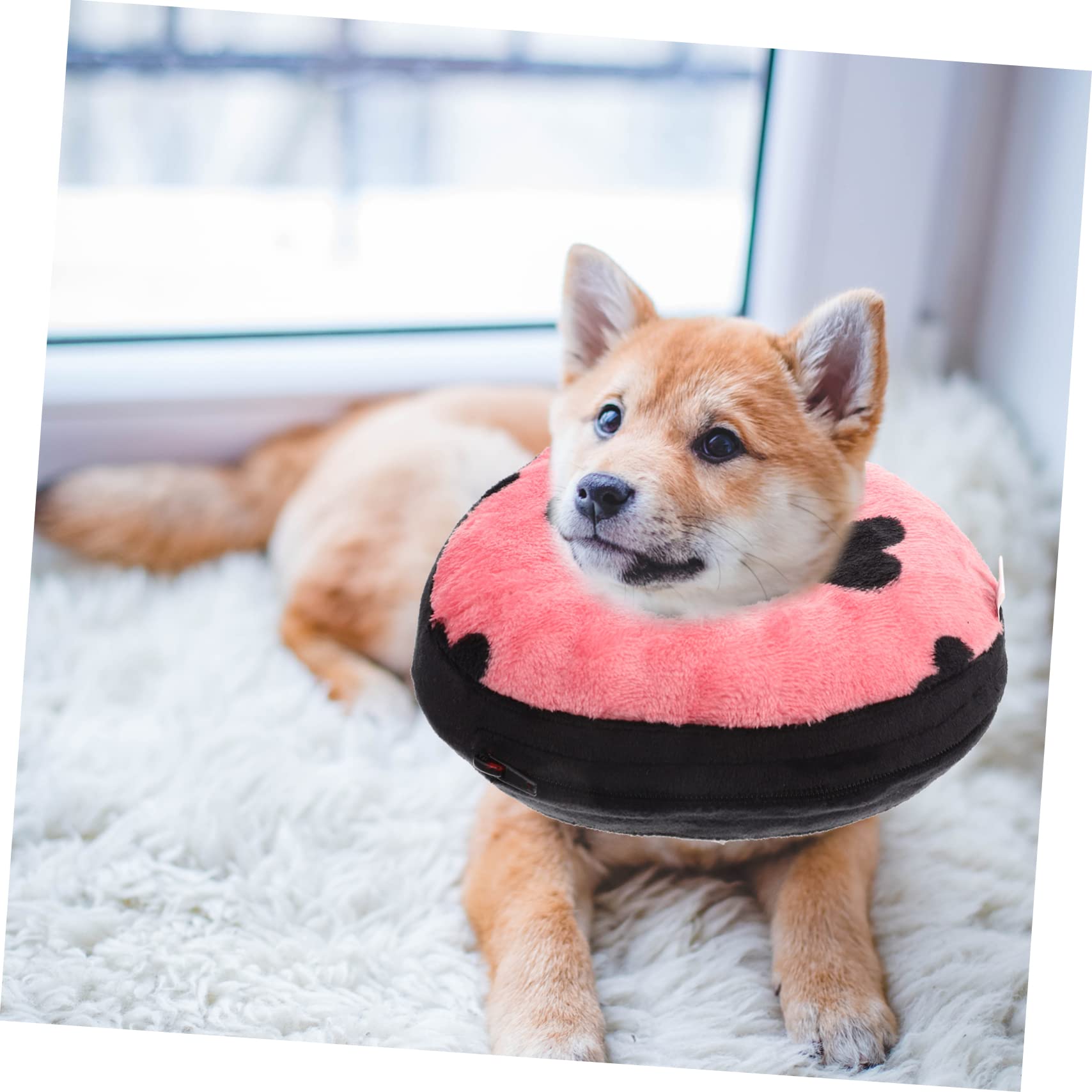 SUPVOX 4piezas Collar Inflable Protector para Gatos Collar De Recuperación Ligero y Cómodo para Mascotas Previene Lameduras y Arañazos Heridas para Recuperación Postquirúrgica