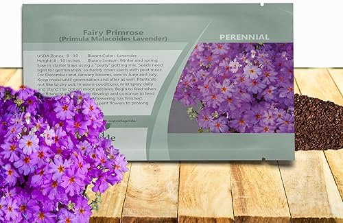 Vista 10 de Outsidepride 1000 Semillas Perennes Primula Crimson Fairy Primrose Flower Seeds para plantar Carmesí