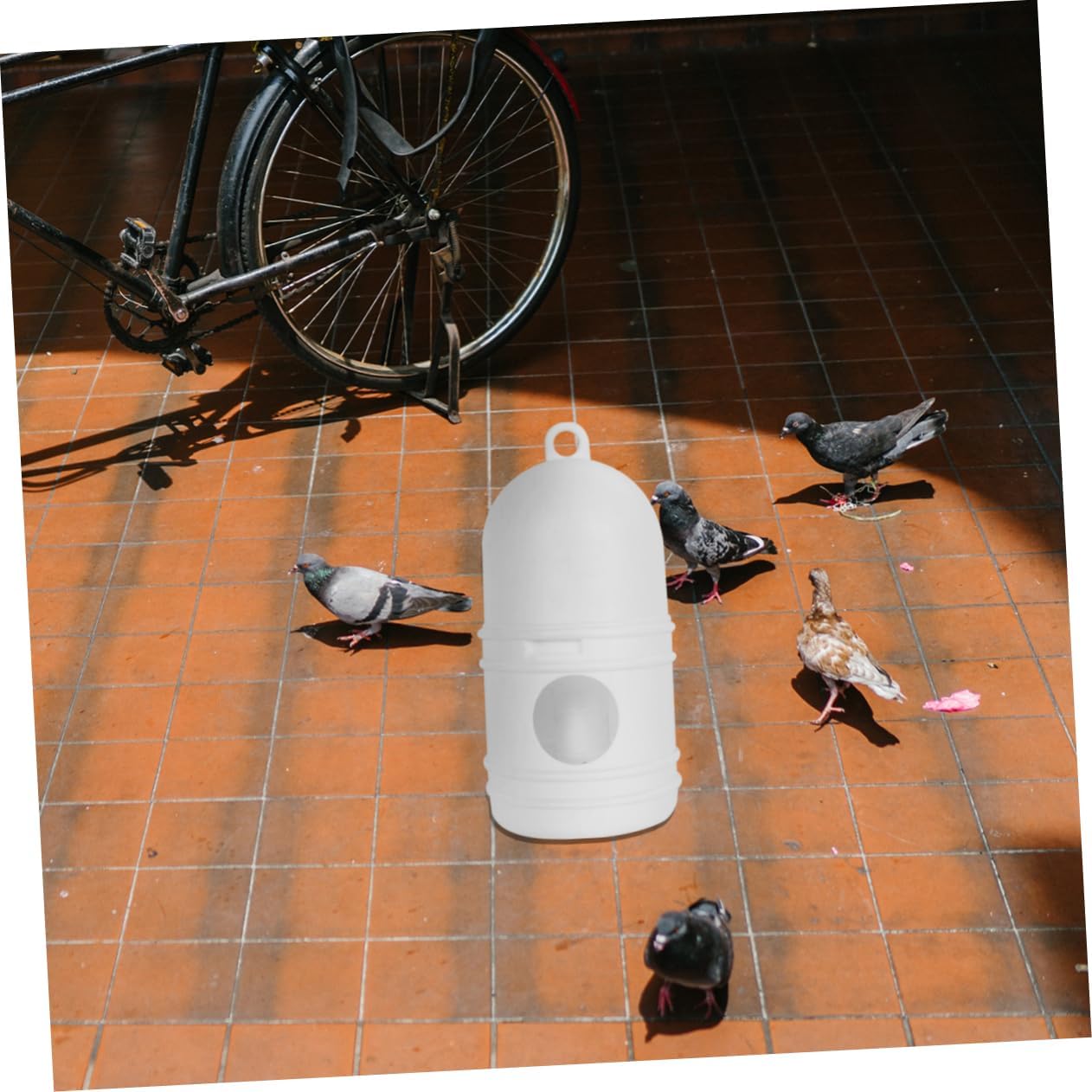 DOITOOL 3pcs Pigeons Water Pot Plastic Birds Drinker Easy Installation for Chickens Quail and Other Poultry