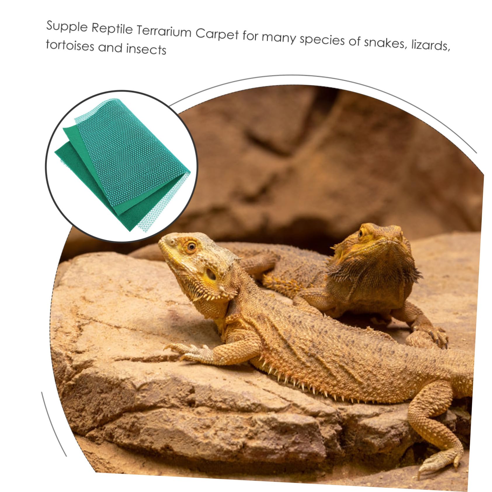 BESTonZON Reptilienkäfig-Einlagen Aus Strapazierfähigem Material Passend Für Terrarien Schützt Vor Nässe Und Kratzern Waschbar Und Wiederverwendbar Für Schlangen Schildkröten Und Eidechsen