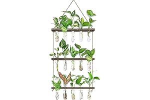 XXXFLOWER Hanging Propagation Station: Plant Dad's Secret Hideaway