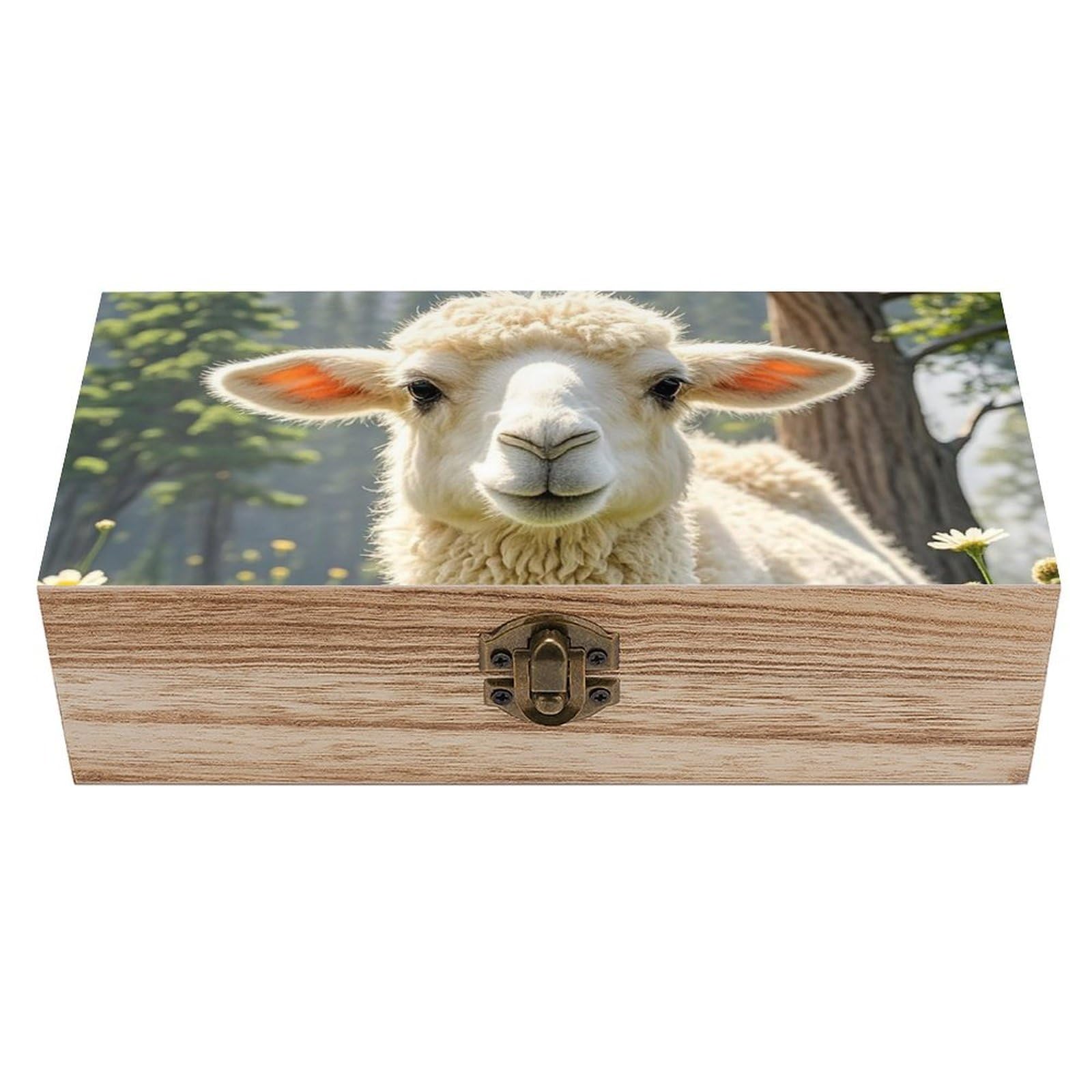 Oudrspo Llama Alpaca Wooden Keepsake Box Decorative Memory Storage Box with Hinged Lid Small Jewelry Keepsake Boxes for Storing Gift Pictures Letters Time Capsule