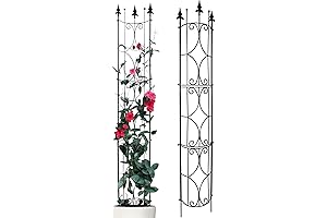 9ft Garden Trellis: Vertical Support for Your Plants' Growth