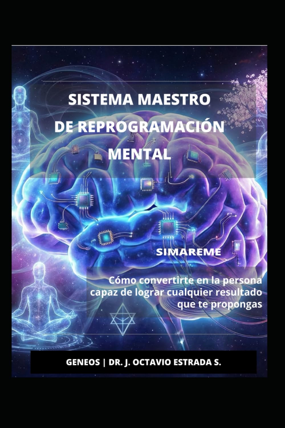 SISTEMA MAESTRO DE REPROGRAMACIÓN MENTAL: Como convertirte en la persona capaz de lograr cualquier resultado que te propongas