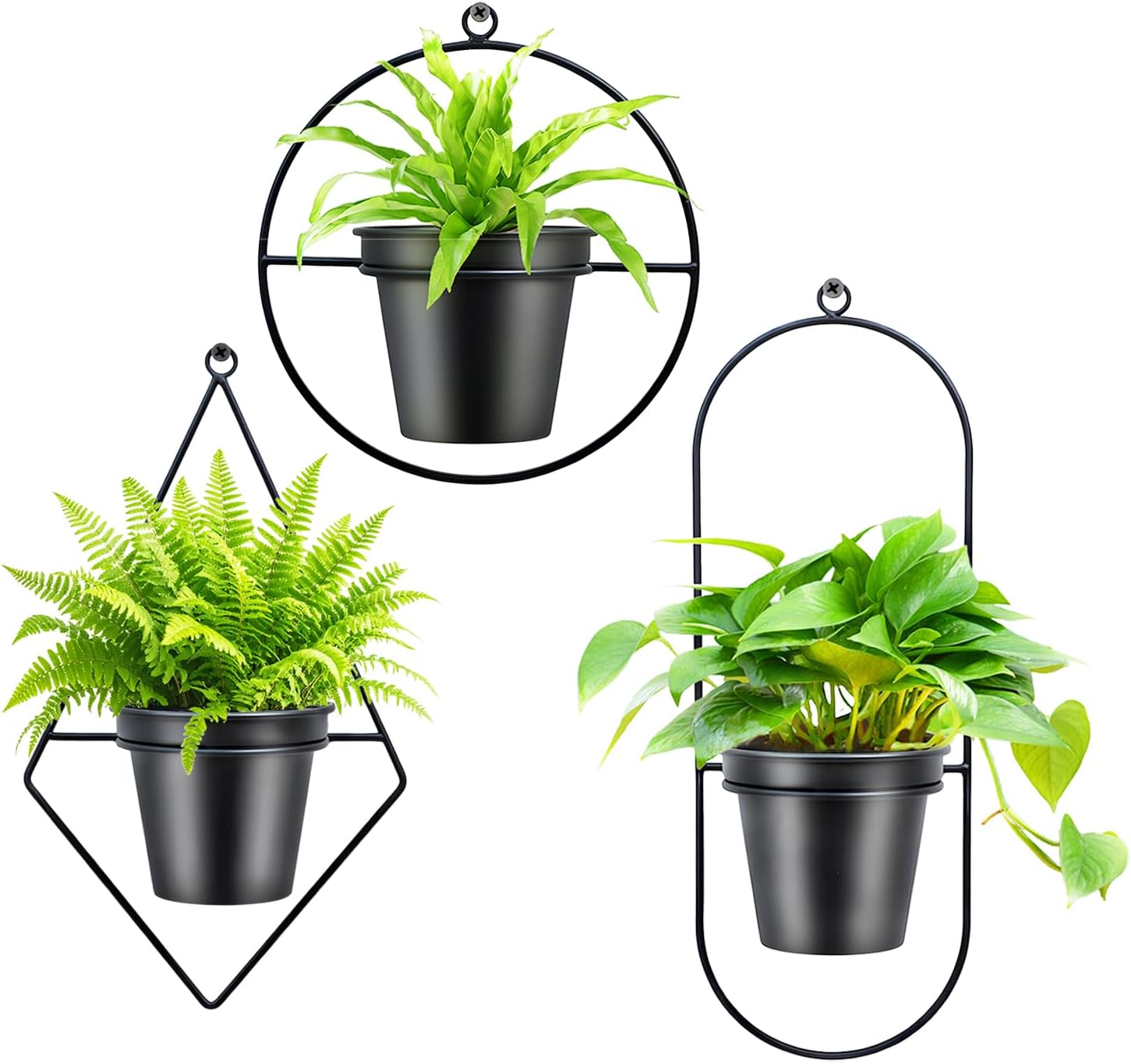 Geometric Wall Planters for Indoor Plants Set of 3 Black Metal Wall Mounted Plant Holder (Diamond & Oval & Round Shapes) with 5 Inch Flower Pots, Modern Hanging Planters for Indoor Decor