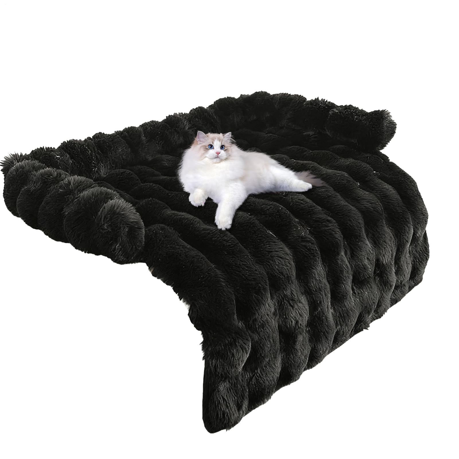 Lit pour chien de canapé avec bord surélevé en peluche premium pour salon