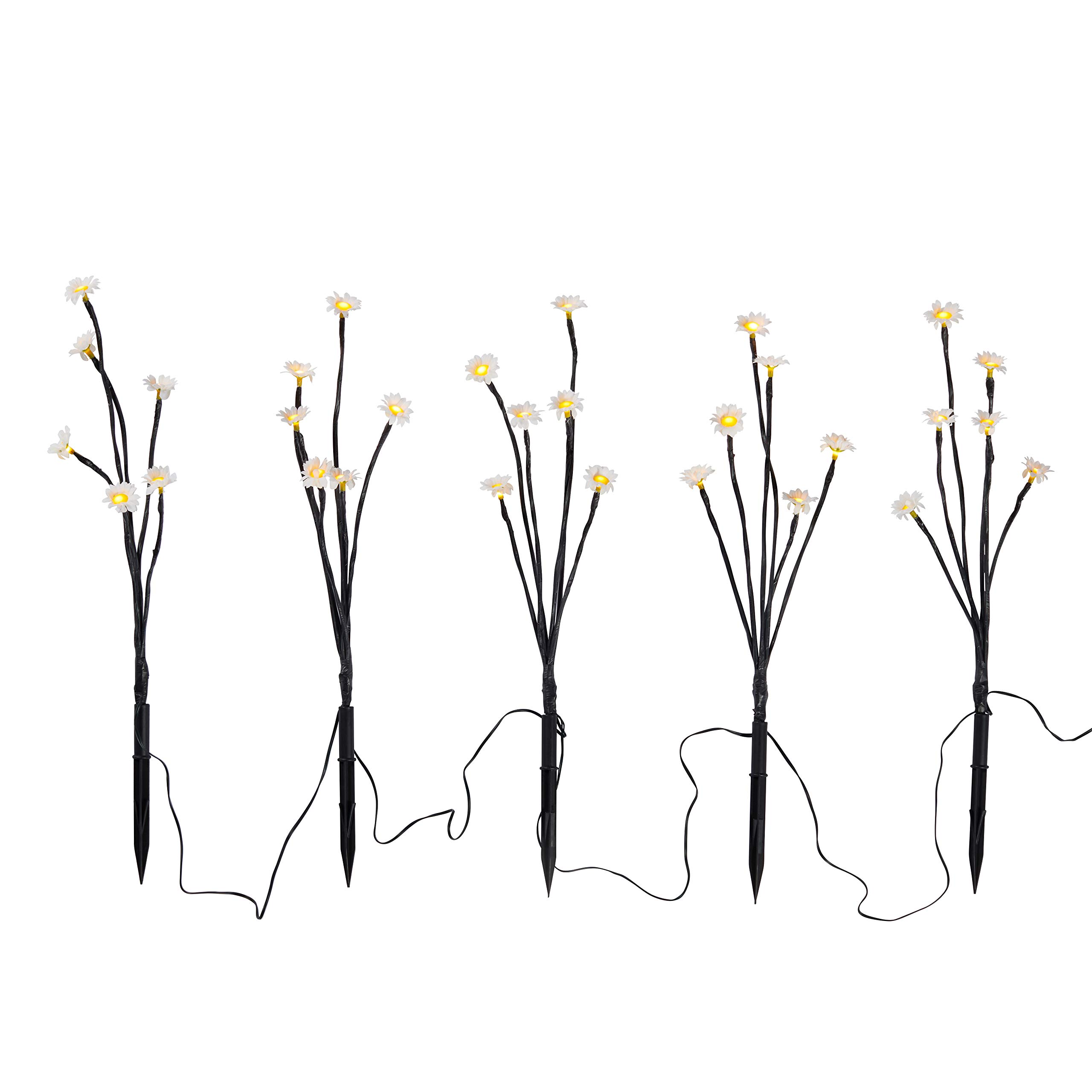 Lot De 20 Fils Dentaires Niti Super élastiques - Forme Ronde/ovale Pour Orthodontie