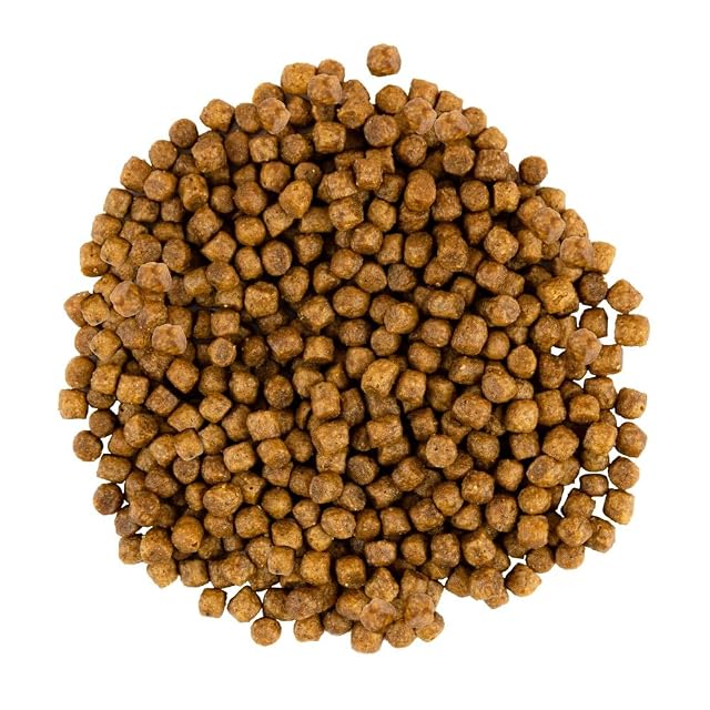 Foto 2 de 6 de SAVORY Gatos Adultos Gourmand Fresco - Alimento holístico para Gatos Alimento seco
