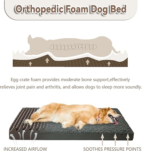Miniatura 2 de DEBANG HOME Cama ortopédica para perros, cama impermeable para perros, cama mediana para perros medianos, camas para perros pequeños, colchón de