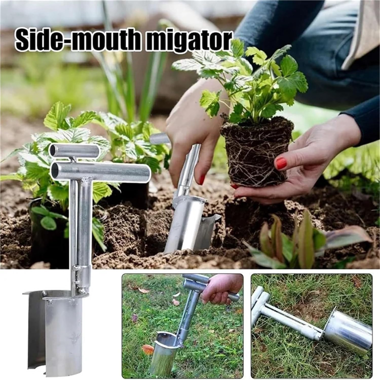 Bulb Planter Tool Plant and Fruit Tree Seedling Transplanter, Stainless Steel Planting Garden Tools with Long Handle Handheld