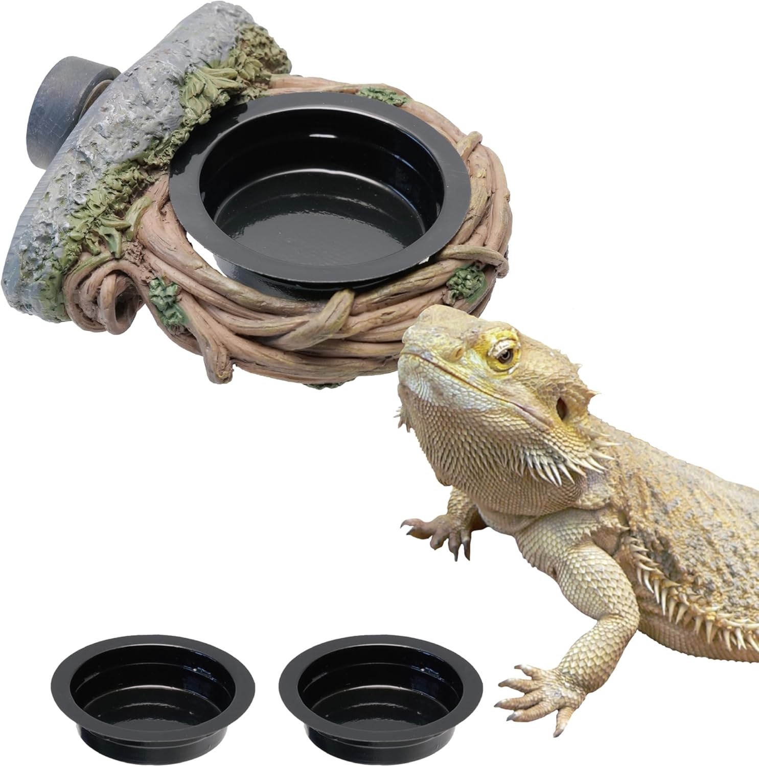 Magnetic Feeding Ledge with 2pcs Cups,Reptile Water Bowl,Bearded Dragon,Turtle,Crested Gecko,Snake,Tank Accessories