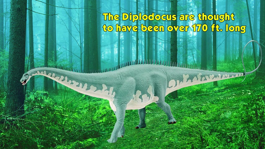 Safari Diplodocus Figura De Dinosaurio Prehistórico – 45 X 11.5 Cm, Multicolor, Realista, Segura Y Educativa, Libre De BPA Y Ftalatos