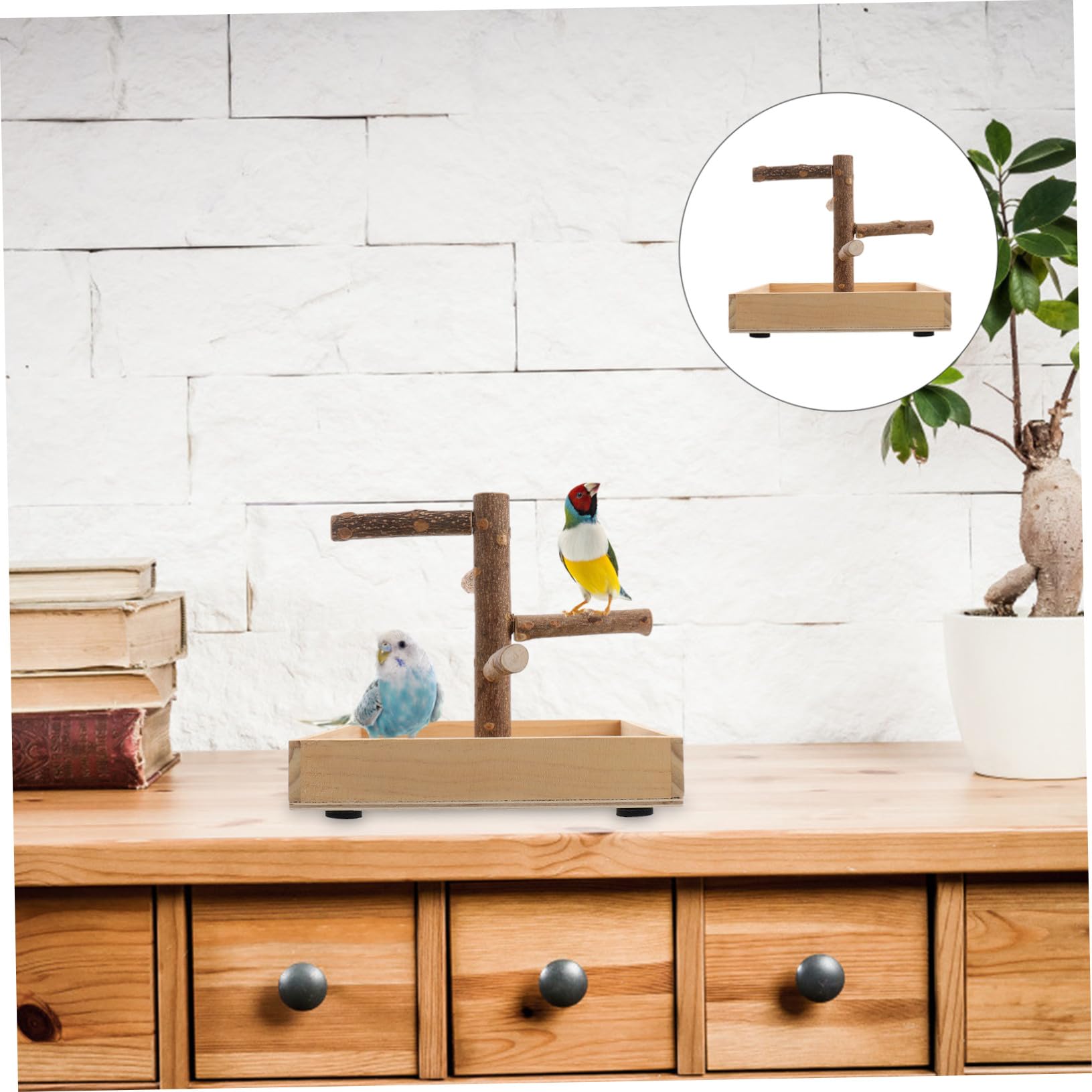 Soporte Equilibrio para Beige Perchas de Madera de Pájaros Portátil para Desarrollo Coordinación en Pequeños Pájaros y Cockatiel