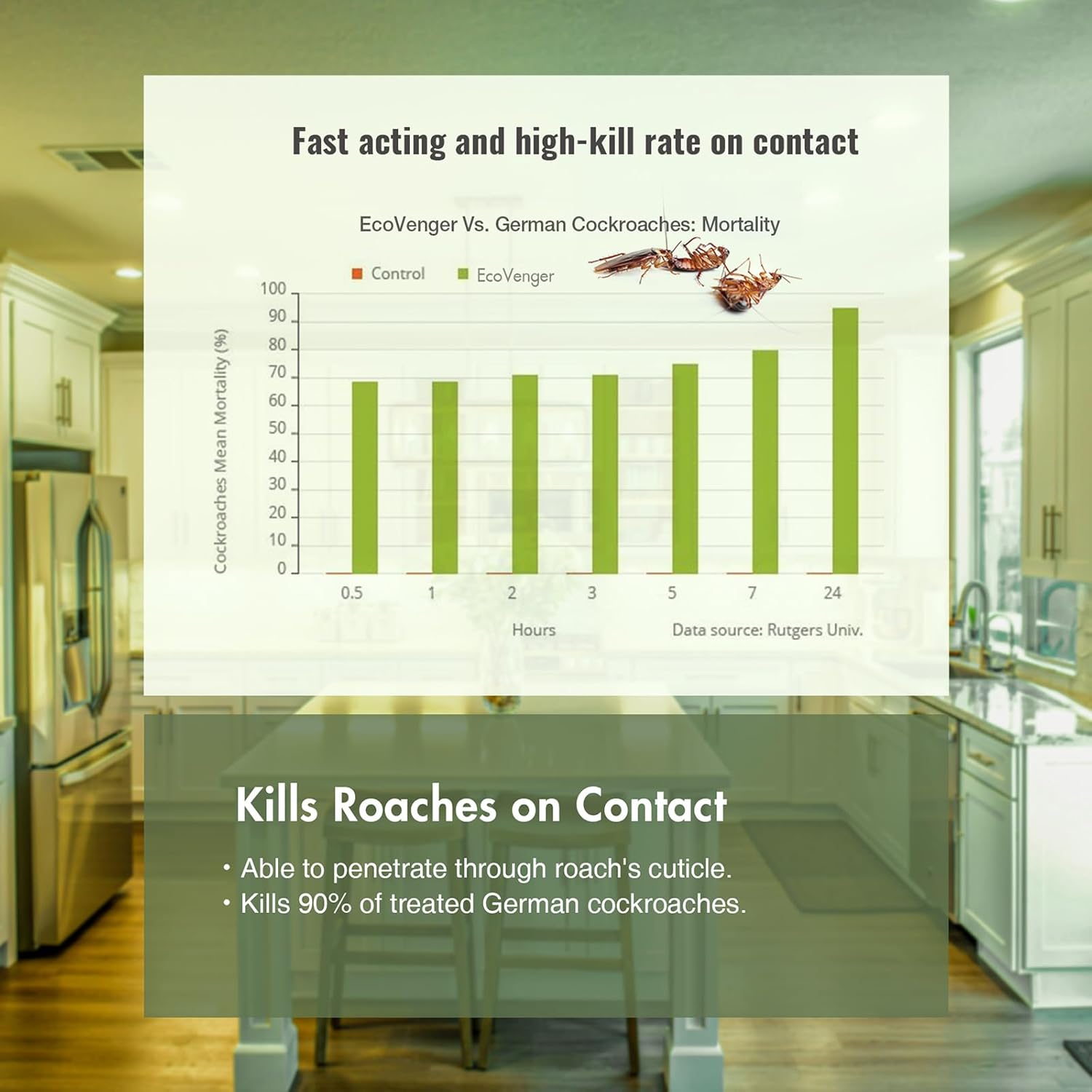 EcoVenger Roach & Ant Killer 16OZ, Kills on Contact, Extended 4-Week Deterrence, Kills Cockroaches, Ants & Other Indoor & Outdoor Crawling Insects, Peppermint Oil, Non-Toxic, Safe for Children & Pets - Image 7