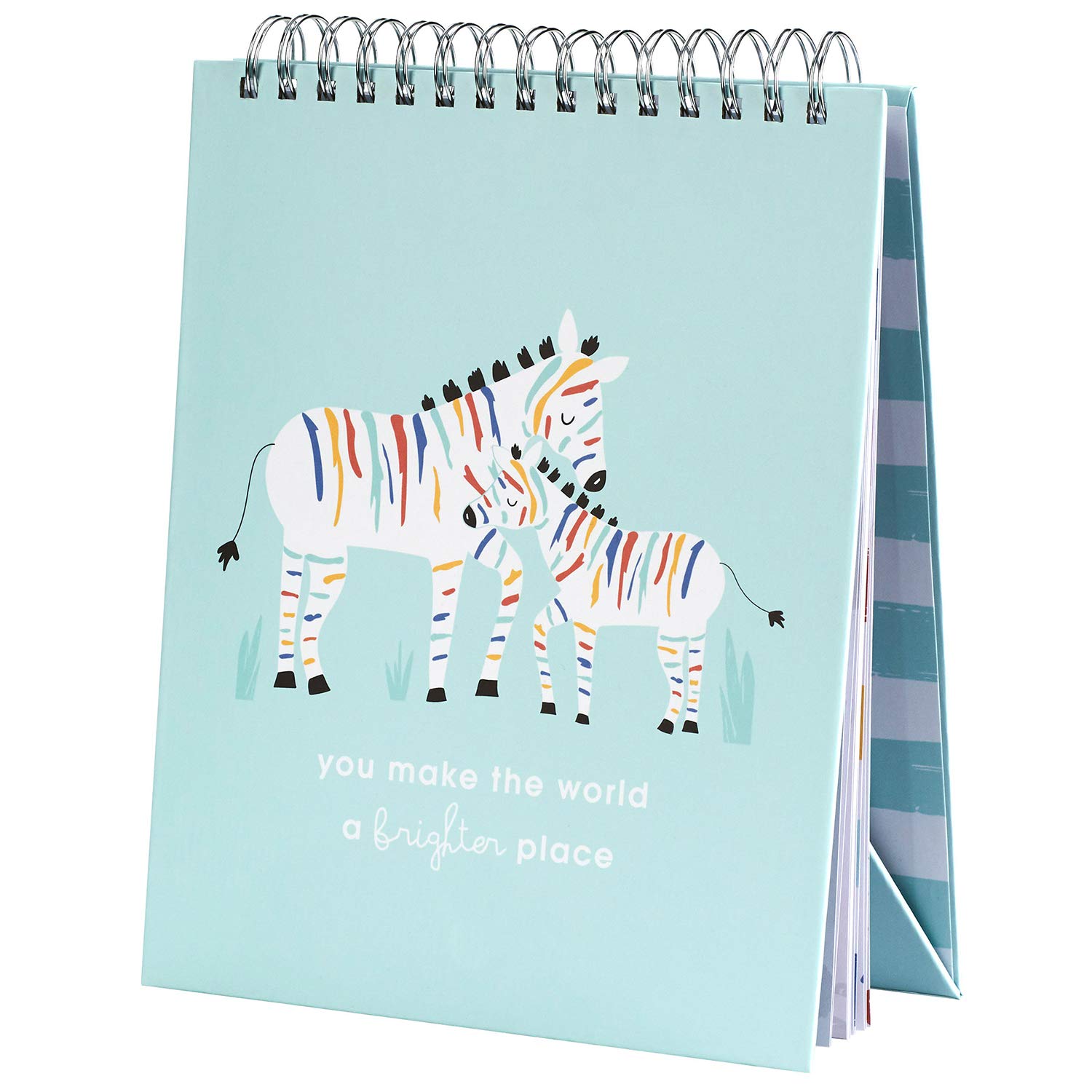 C.R. Gibson „You Make The World a Brighter Place“ Regenbogen-Zebra-Baby-Meilensteinkarten, Foto-Requisite, Flipbook, 21,6 x 26,7 cm