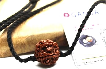 Certified 7 Mukhi Rudraksha mala Shiva bead, Laxmi venus yoga jewelry, big Rudraksh choker, Protection jewellery, Hindu necklace unisex