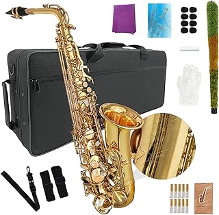 Eb Alto Saxophone Gold Lacquer Brass E-Flat Student Kit with Hard Carrying Case - Includes Mouthpiece, Reeds, Neck Strap and Gloves for School Band