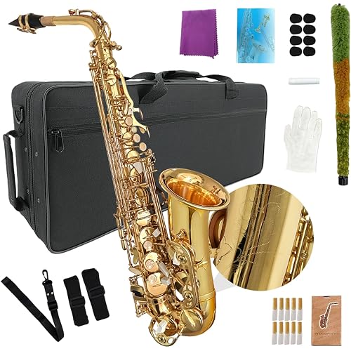 Eb Alto Saxophone Gold Lacquer Brass E-Flat Student Kit with Hard Carrying Case - Includes Mouthpiece, Reeds, Neck Strap and Gloves for School Band