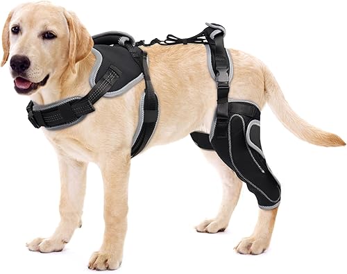 Miniatura 9 de Rodillera para perro para pierna trasera desgarrada ACL/CCL, soporte ajustable con suficiente envoltura y soporte y rótula luxante, soporte