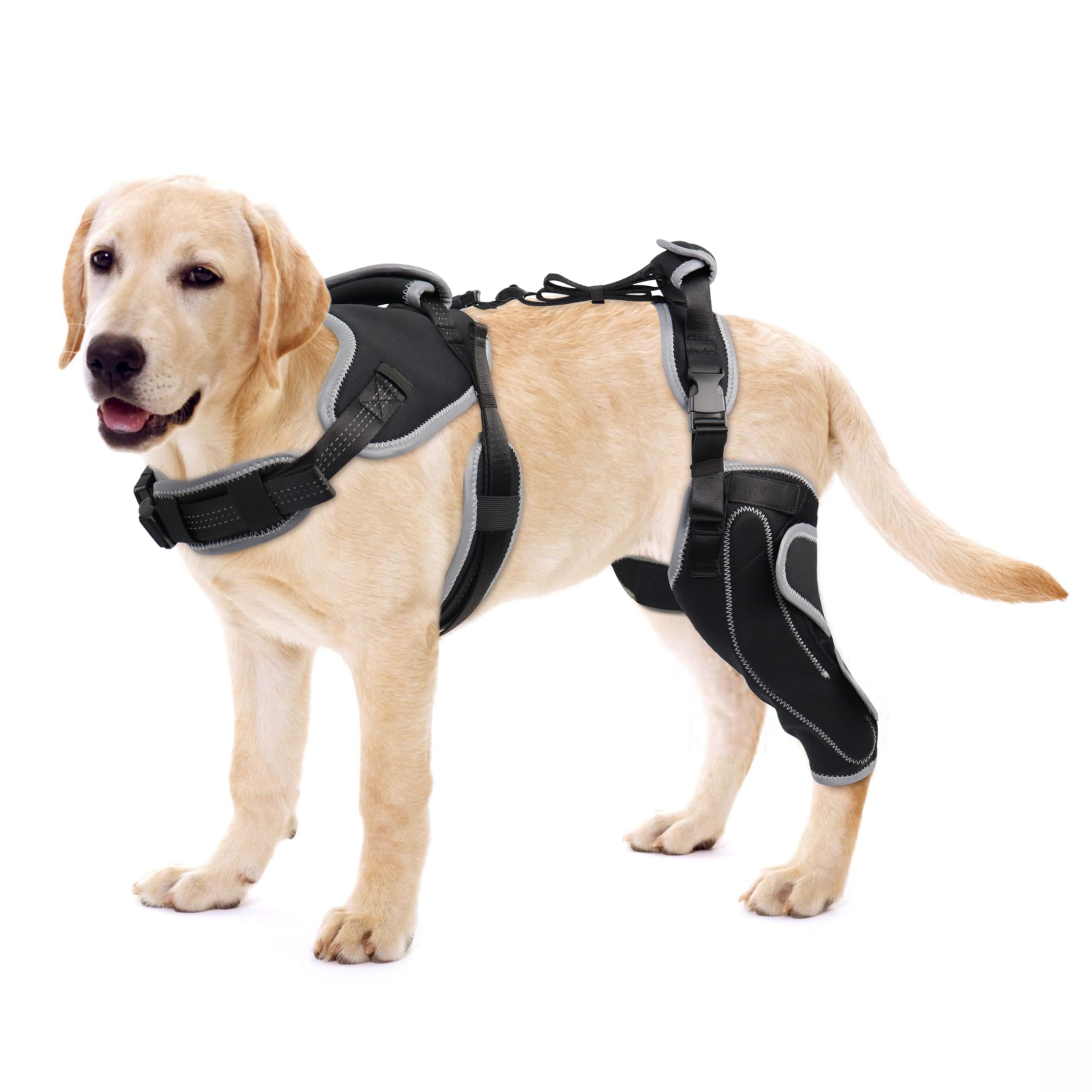 LISPOO Dog Knee Brace for Torn ACL/CCL Hind Leg,Adjustable Support With Sufficient Wrapping and Support & Luxating Patella,Non-Slip Joint Brace,Pain Relief&Better Recovery-Left leg-Upgraded/M
