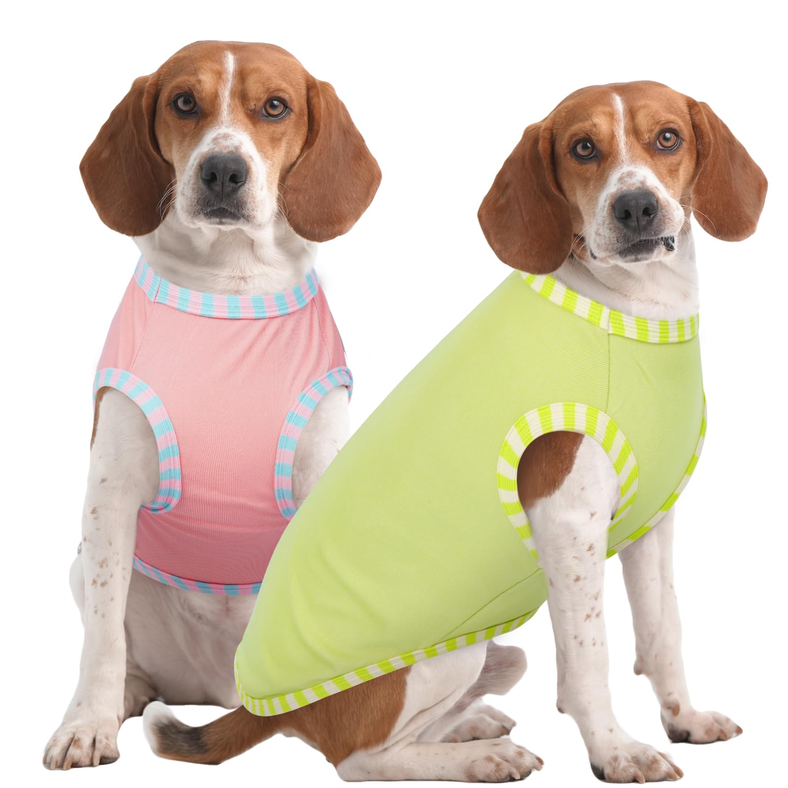 T-shirt pour chien respirant XL idéal pour les balades estivales en duo de couleurs