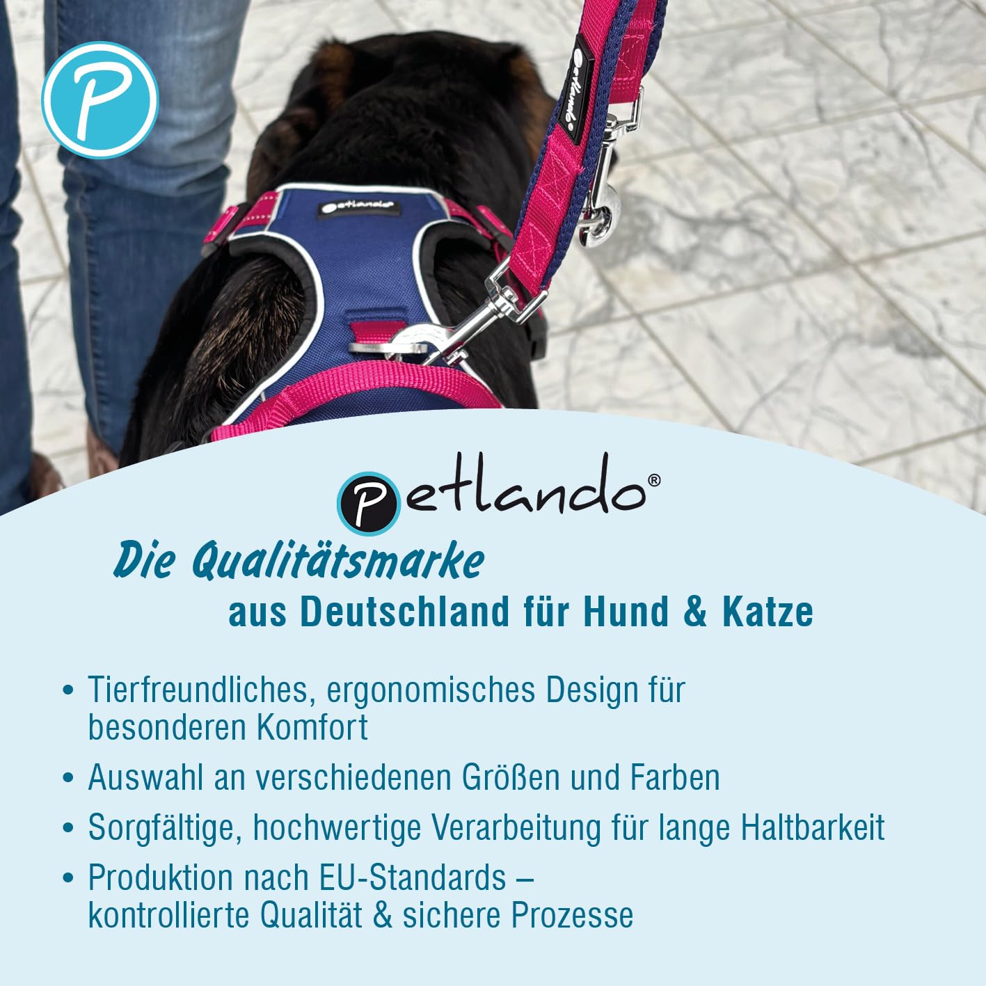 Petlando Hundeleine Magnetech – 3-Fach verstellbare Führleine, Karabiner-Verschluss, besonders leicht, zum Umhängen geeignet – Navy/Fuchsia Größe M 3m x 2,5cm