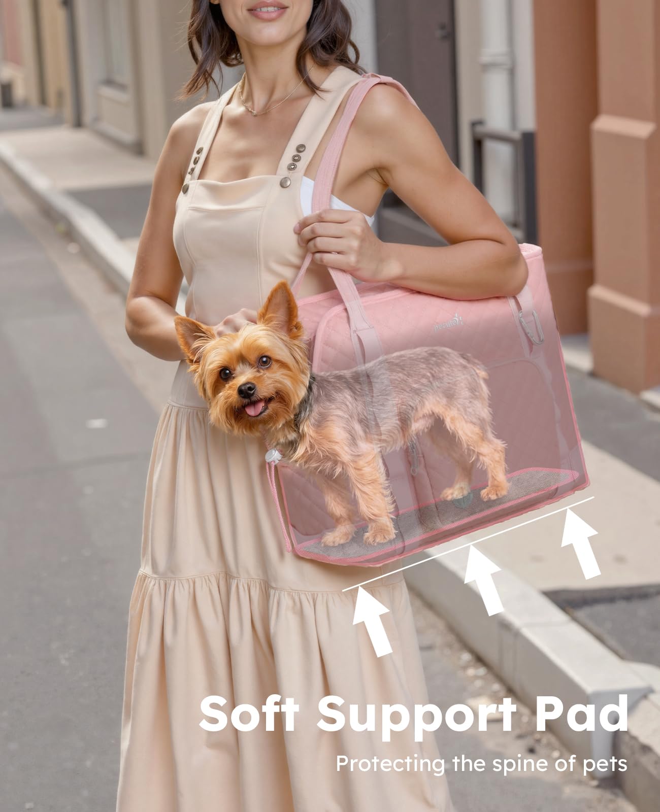 https://m.media-amazon.com/images/I/71AjsZmdTRL.jpg
