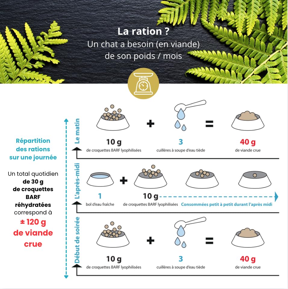 Croquette Barf - Cuisse et Filet de Poulet hachés Lyophilisée pour Chaton