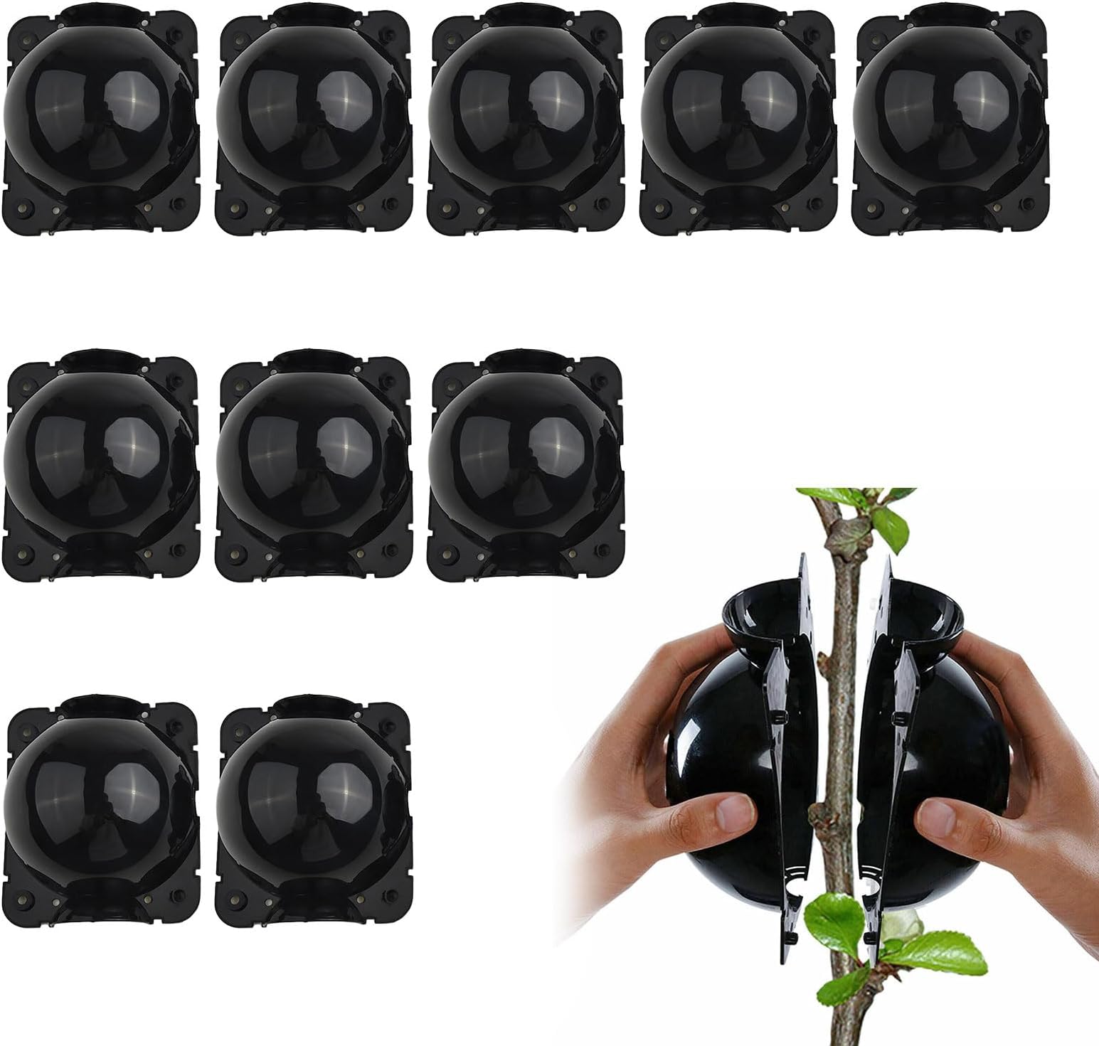 DOITOOL Pflanzen-Vermehrungskugeln 10 Stück - Wurzelwachstum Für Garten