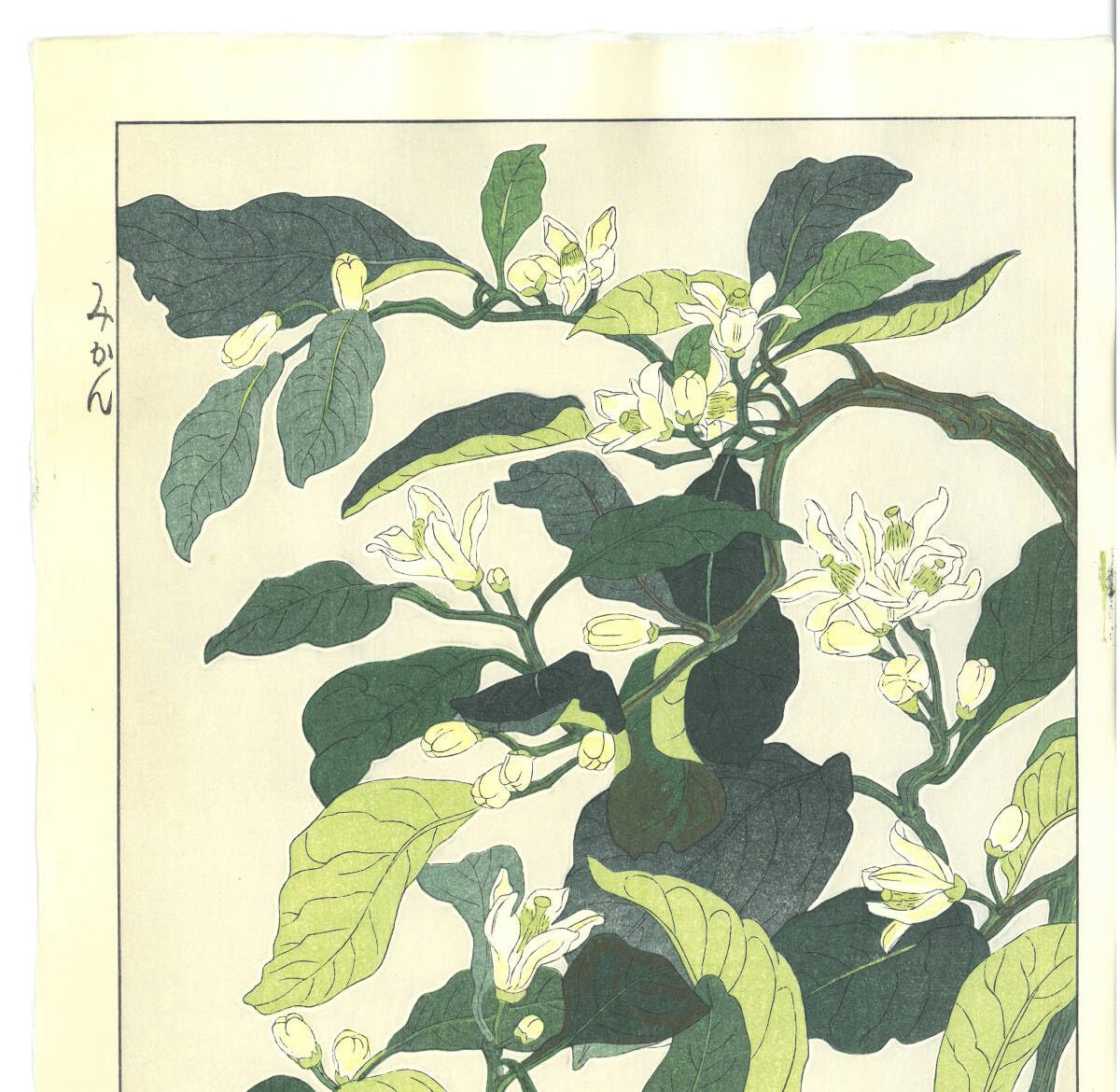 Amazon.co.jp: 真作保証 額装 葛原 輝 木版画 F157 みかん 花版画 初版