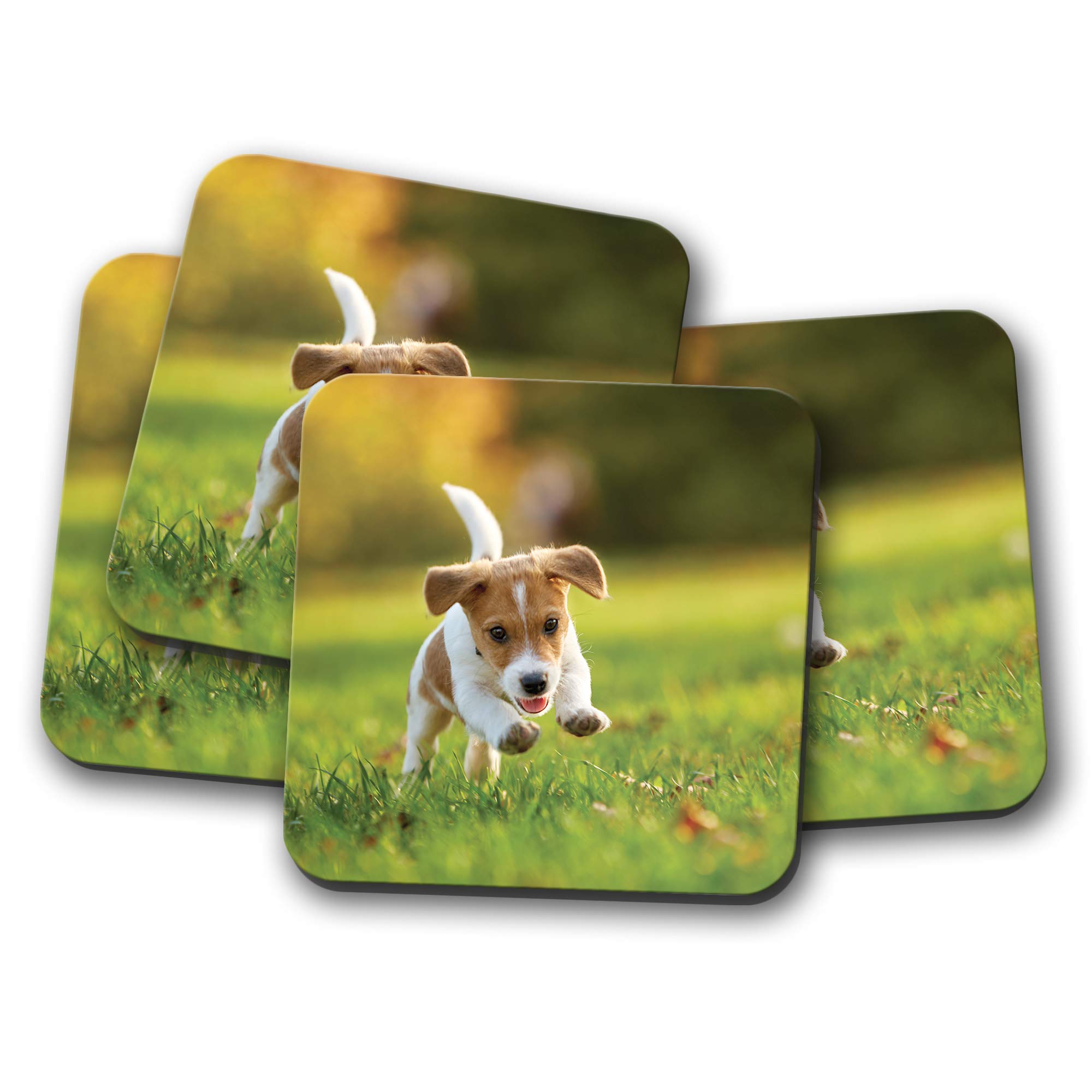 Destination Vinyl Ltd Multicolor 4 Set - Cute Jack Russell Terrier Puppy Coaster - Dog Baby Animal #12576