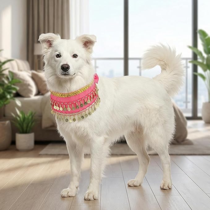 Falda de Danza del Vientre para Perro TIESOME, Pequeño, Rosa Rojo miniatura 6