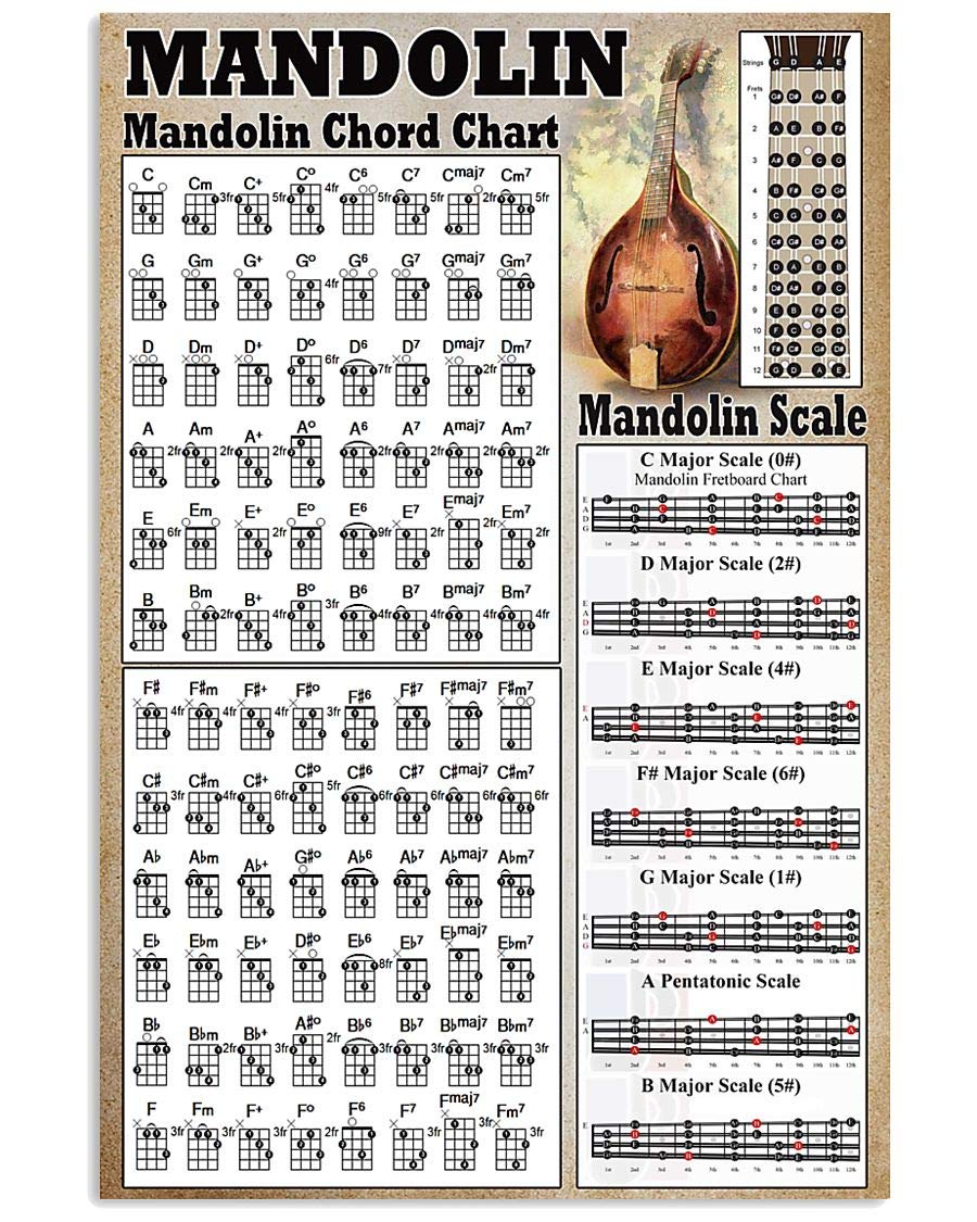 rayprint Mandolin Chord Chart Metal Sign Vintage Music Room Decor Music Player Scale Knowledge Tin Poster Home Club Office Wall Decoration Plaque 8x12 Inches