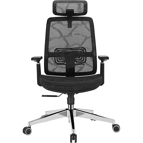 Schwake Ergonomic Mesh Office Chair with Headrest - High Back Computer Desk Chair Adjustable Lumbar Support, 3D Armrests, Synchro-Tilt Recline,High Elastic Nylon Mesh Cushion (Black)