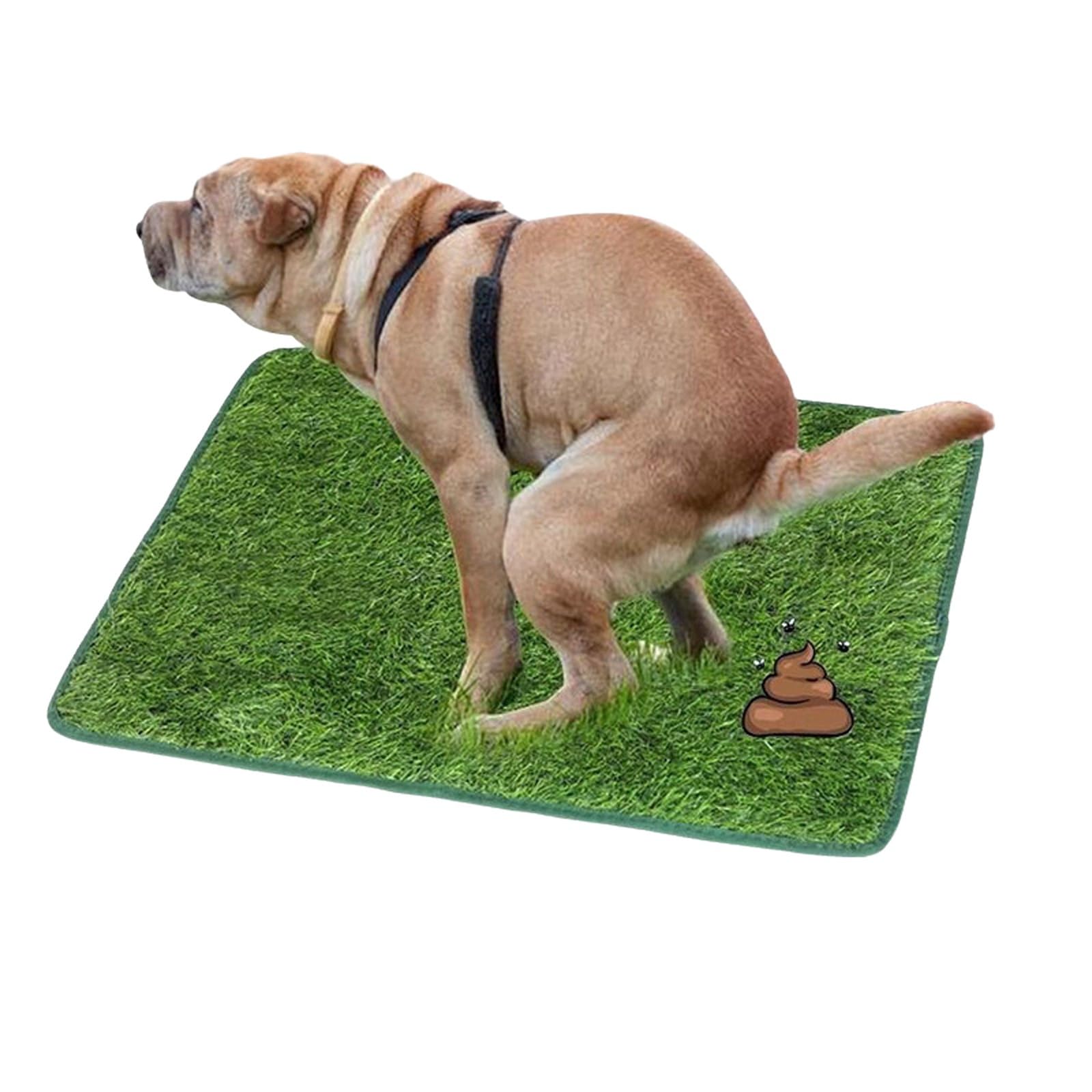 QUILSTM Artificial Turf Grass Outdoor Fresh Patch Grass With After Sales Service And Durable For Dogs AFTER-SALES SERVICEIf For Any Reason Are Not Completely Satisfied With, L