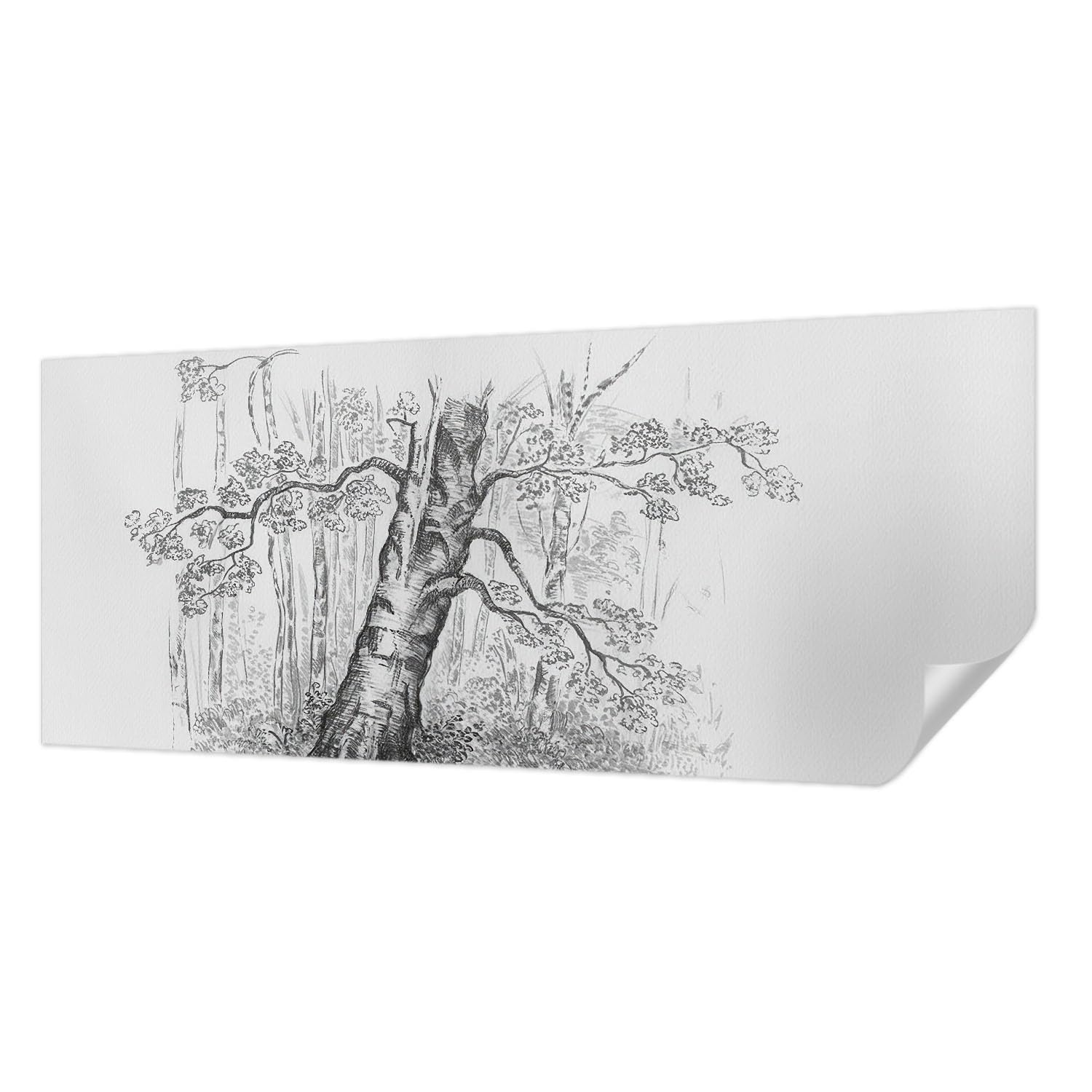 Décor mural adhésif arbre forestier Tulup panorama 250x104 cm