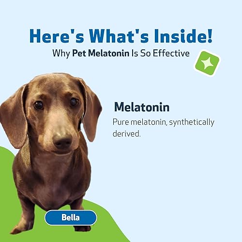 Miniatura 5 de Pet Wellbeing Melatonina para mascotas para perros  Soporte de Cushing, equilibrio de cortisol suprarrenal, ayuda a mantener los patrones normales