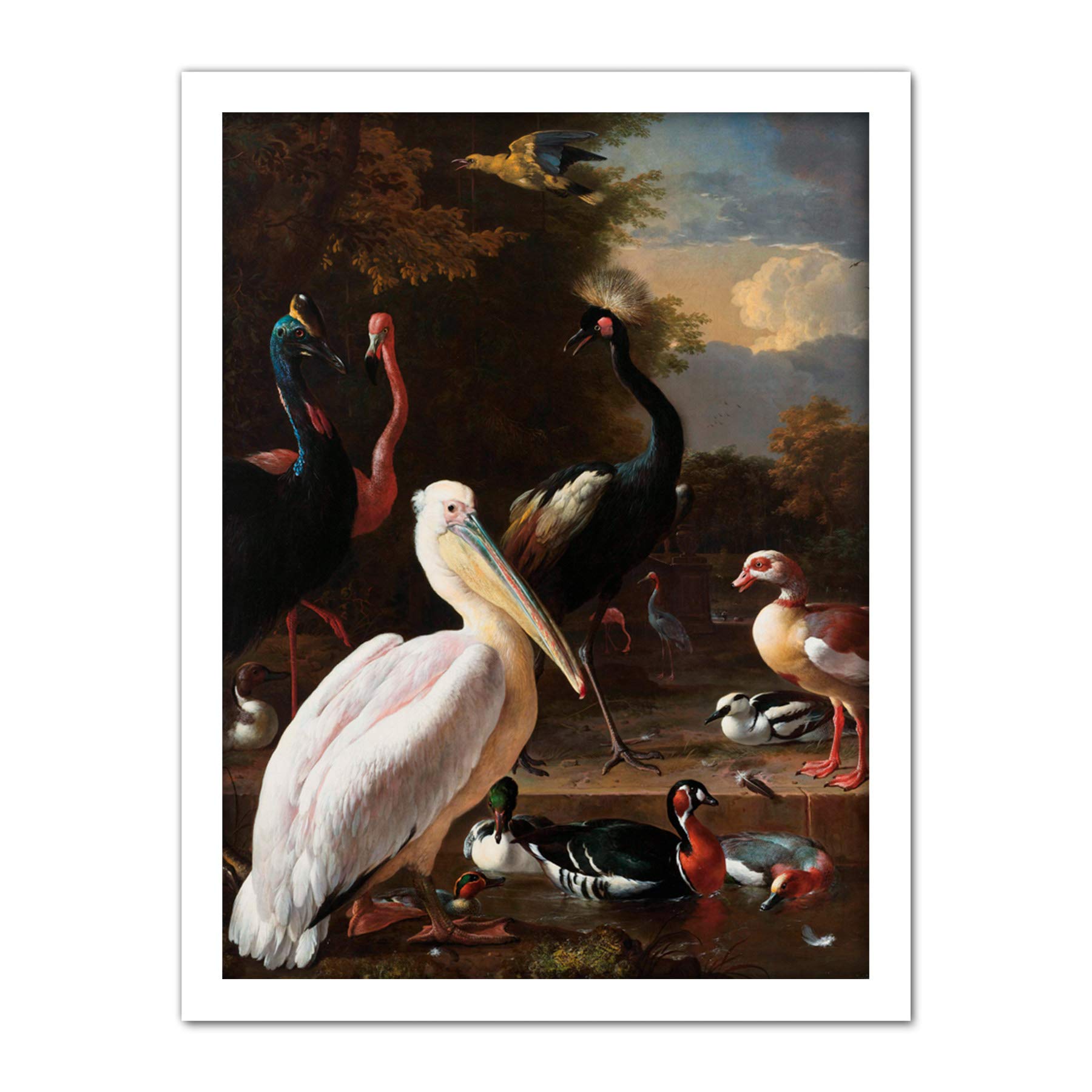 Artery8 Hondecoeter Pelican Birds Pool Floating Feather Artwork Framed Wall Art Print 18X24 Inch